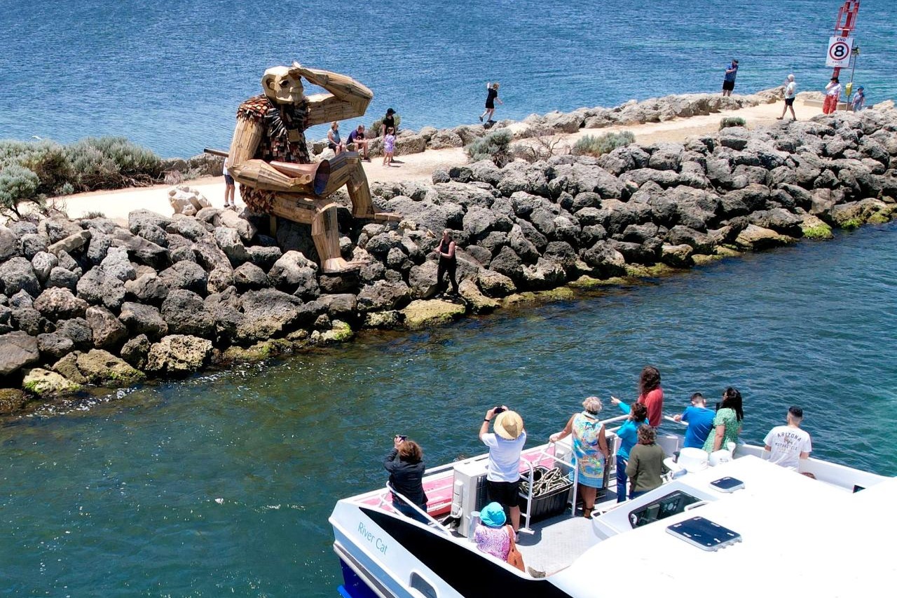 巨大的 & 海豚观光游轮之旅