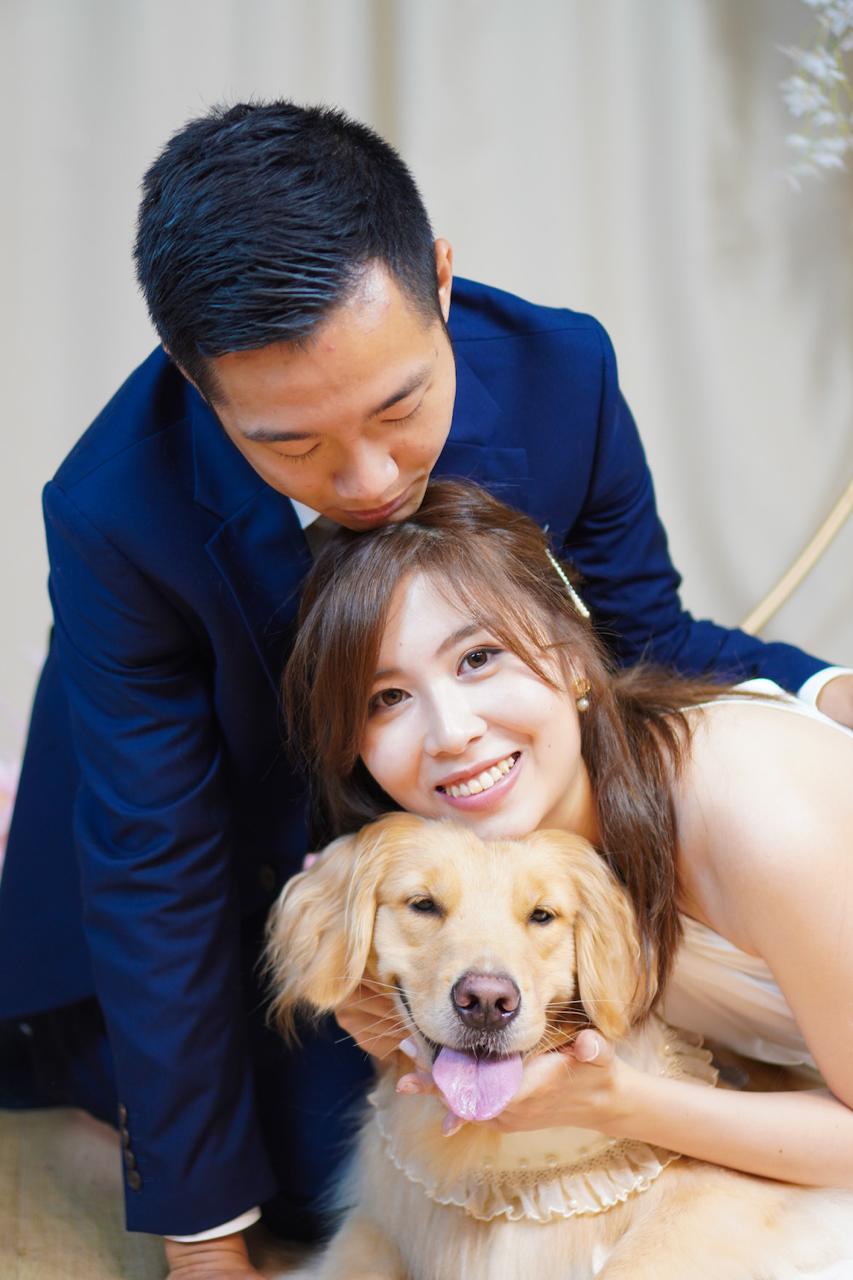 香港观塘 ​宠物拍摄(STUDIO)