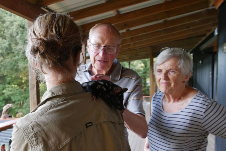 野生动物园日落体验