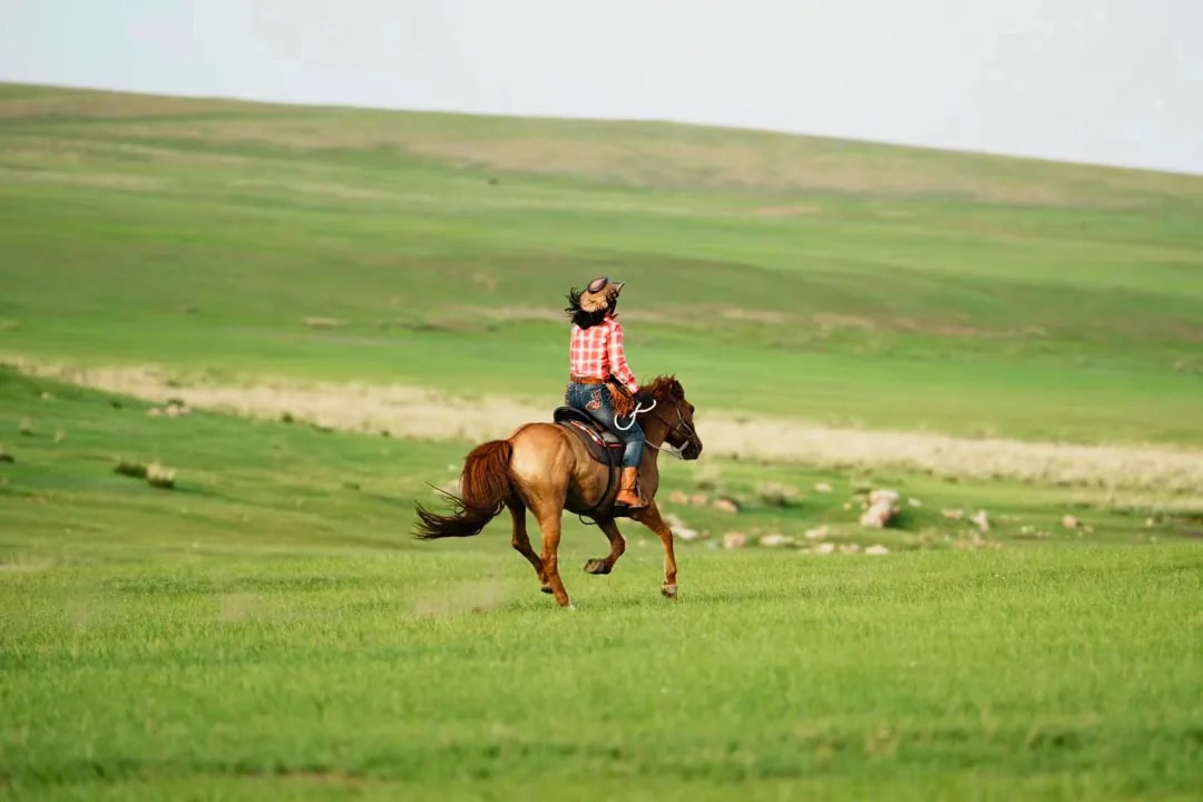 内蒙古呼伦贝尔梦幻草原6日（莫日格勒河+敖鲁古雅使鹿部落+莫尔道嘎火车+边境卡线+黑山头骑马+186彩带河+呼伦湖拴马桩+《马之舞》表演