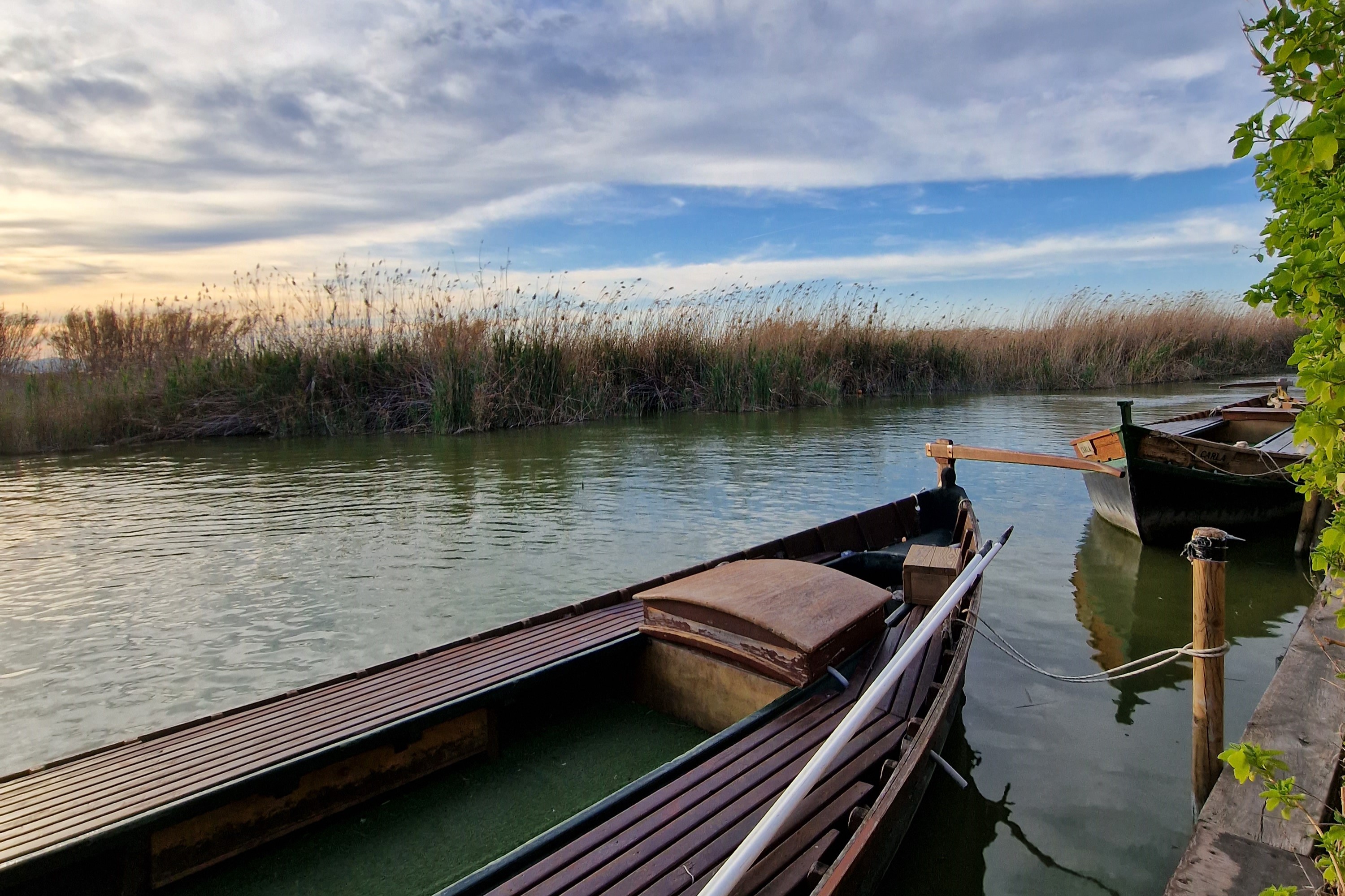 阿尔布费拉自然公园一日游（瓦伦西亚出发）