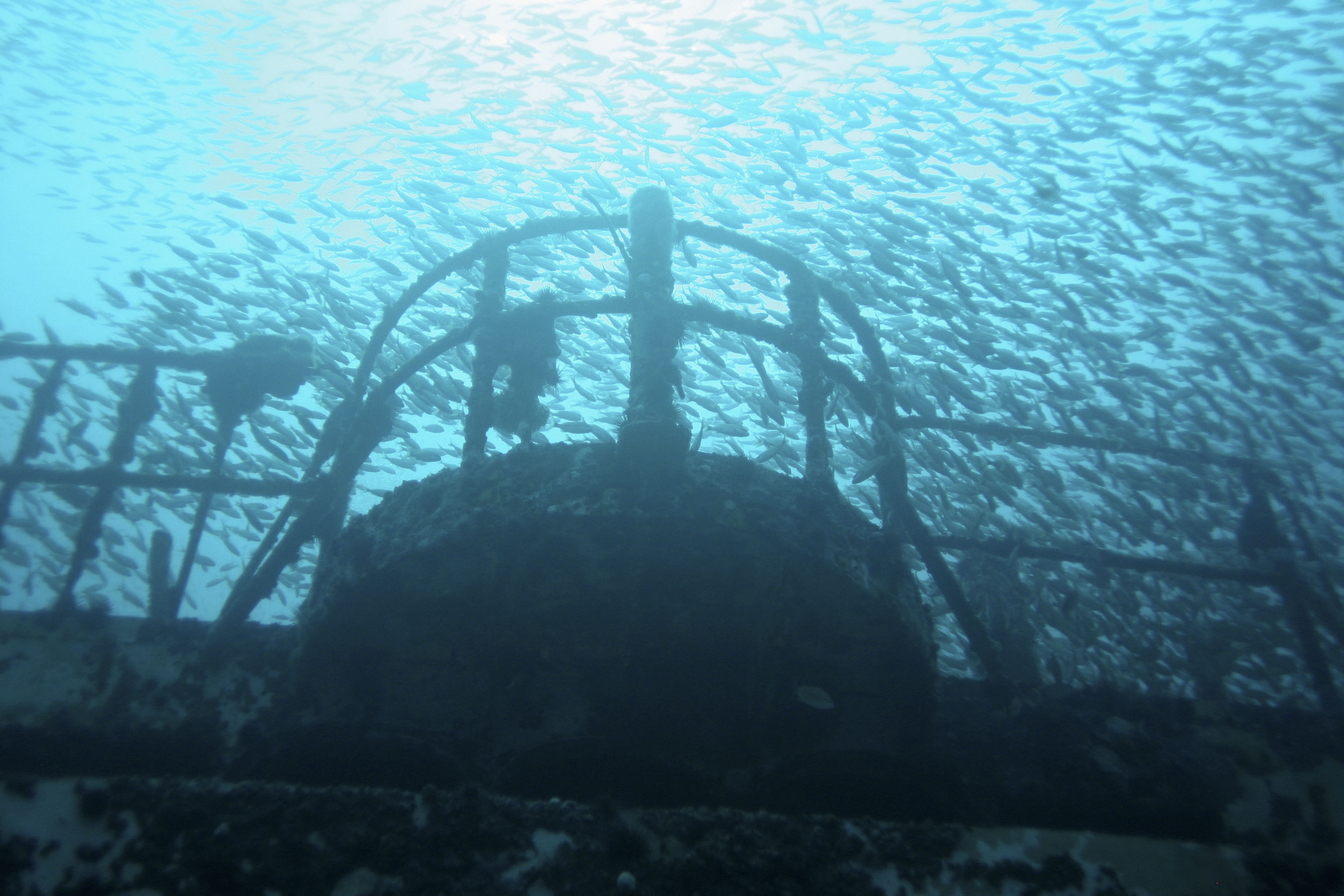 发现更多： 伊斯拉莫拉达高级潜水员1级 PADI中心