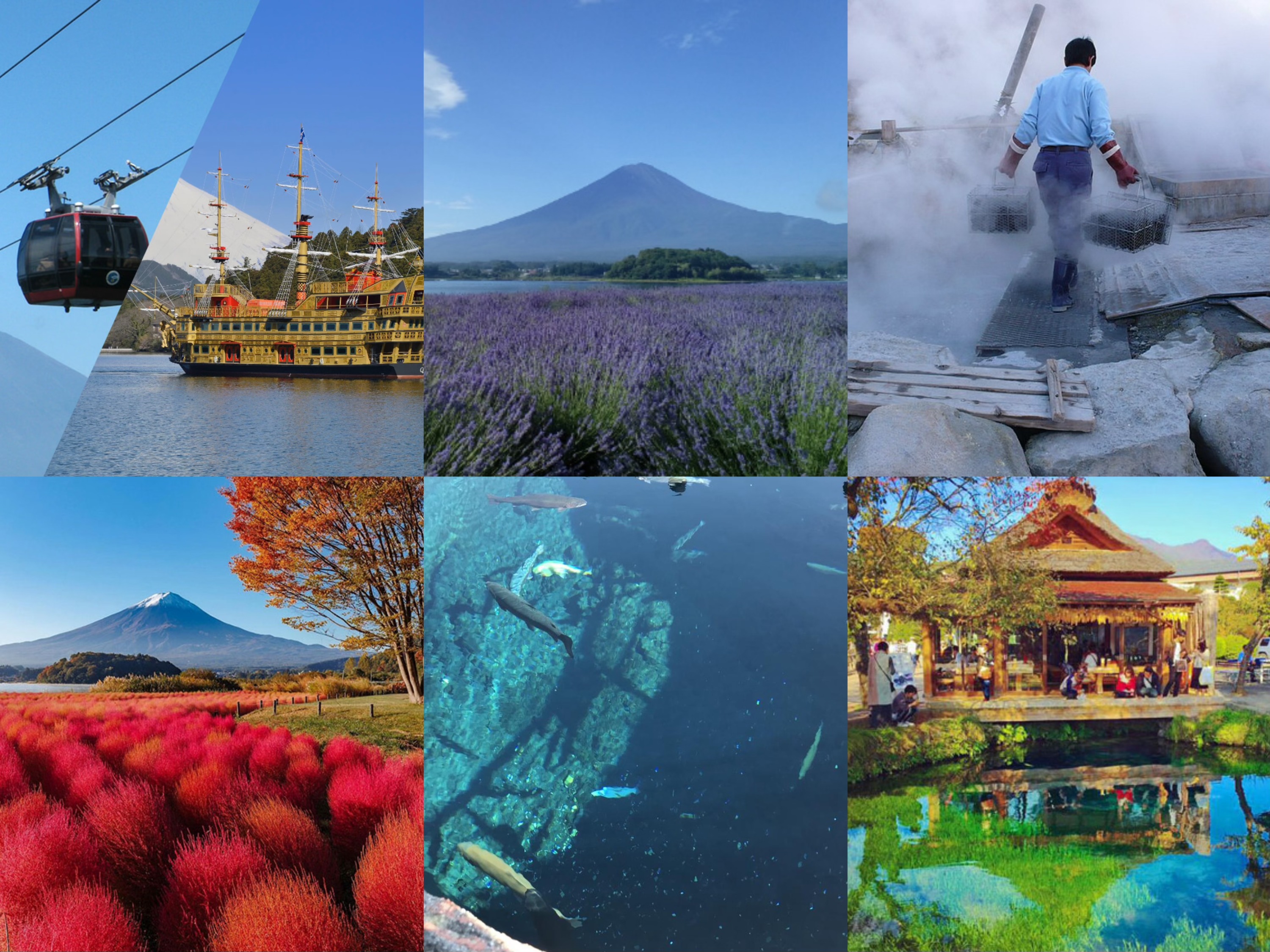 【富士山箱根打卡一日游】海盗船&大涌谷往返缆车&大石公园&忍野八海 (东京出发）