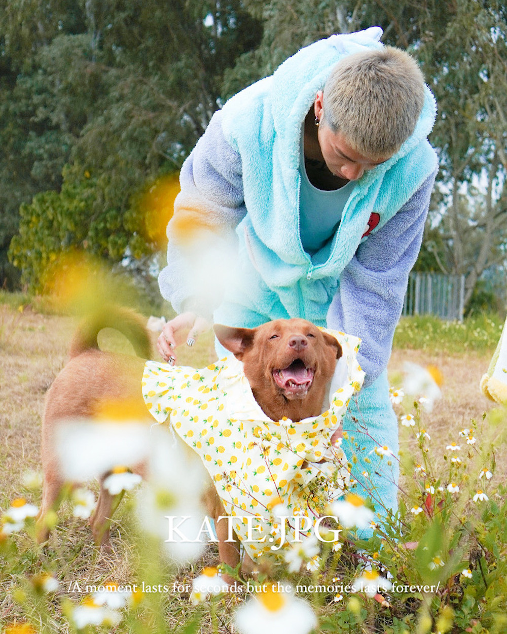 Kate.jpggg-  宠物拍摄（自订地点- 2小时拍摄）