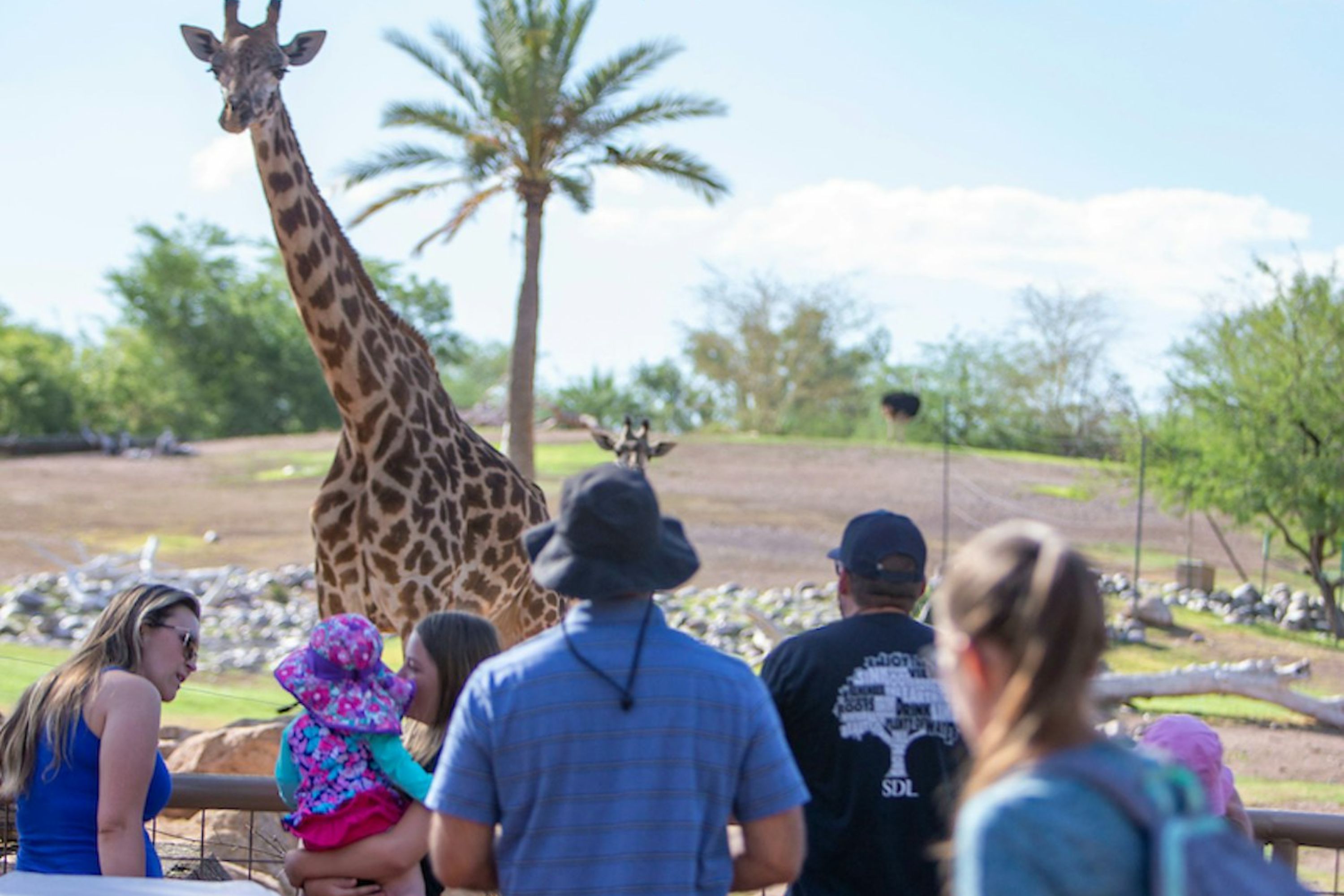 凤凰城动物园门票