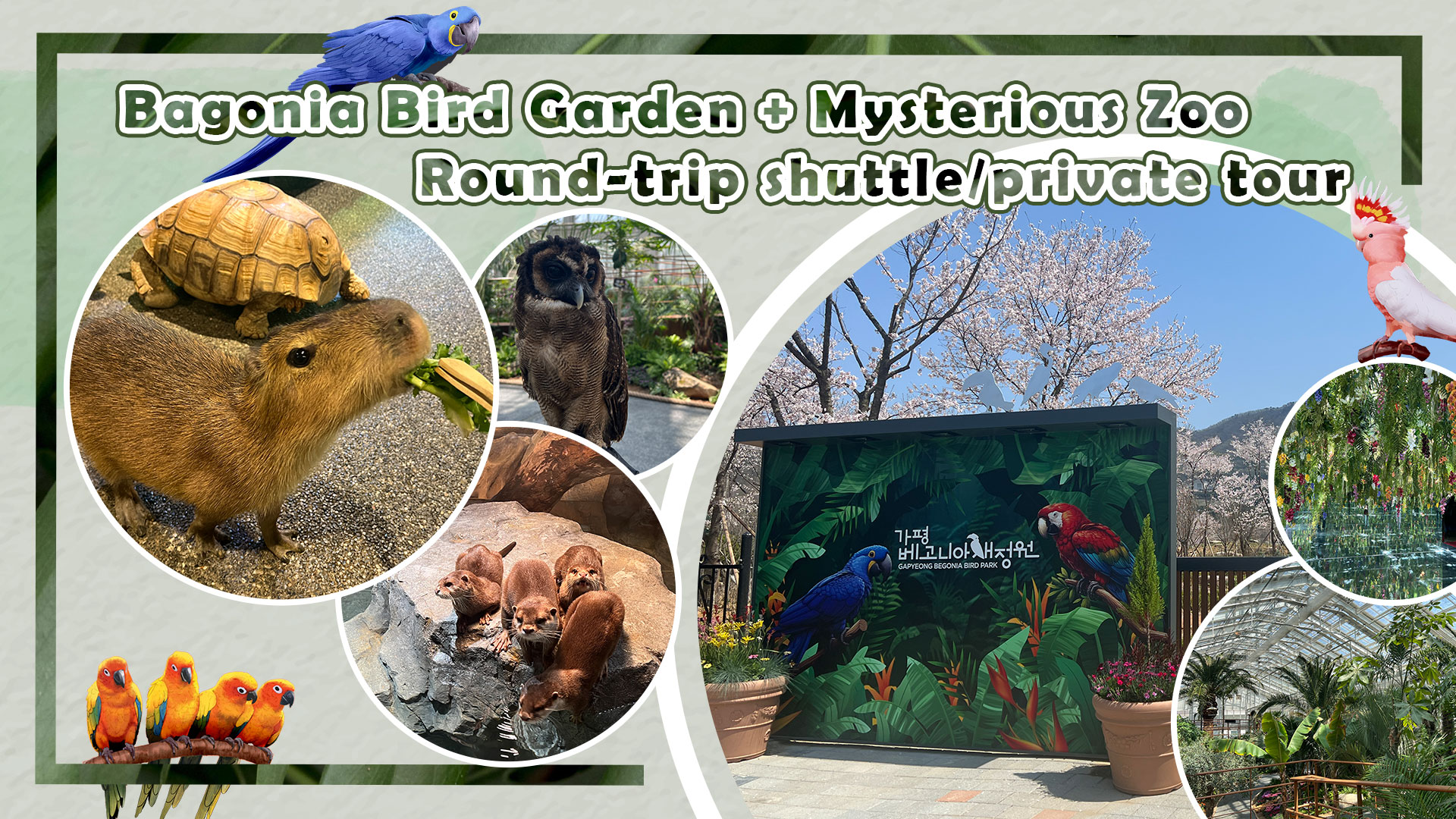 海棠鸟园+神秘动物园+水族咖啡厅往返接驳车
