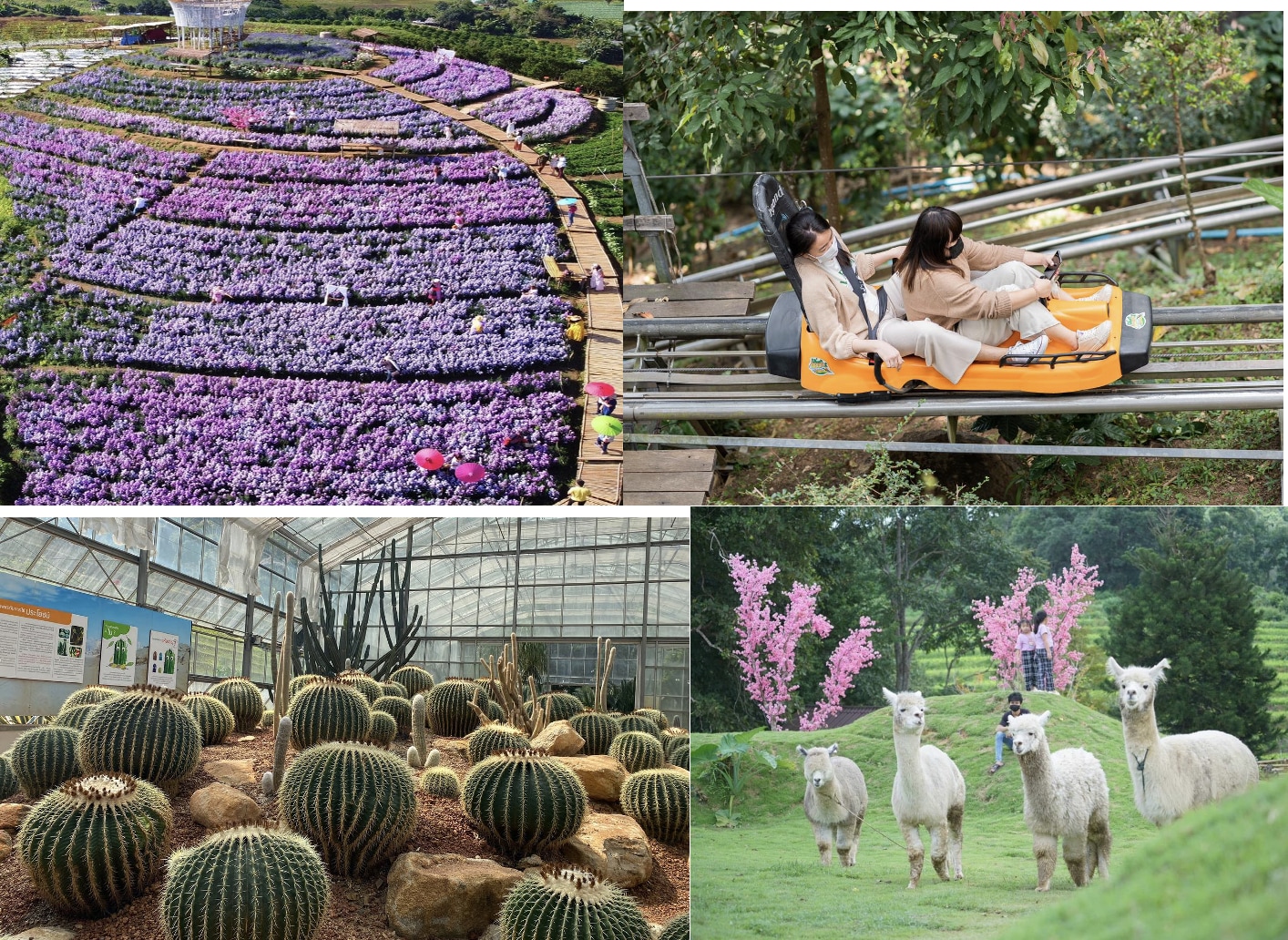 美康彭和桑堪蓬温泉一日游