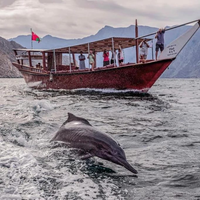 全日多乌船游船