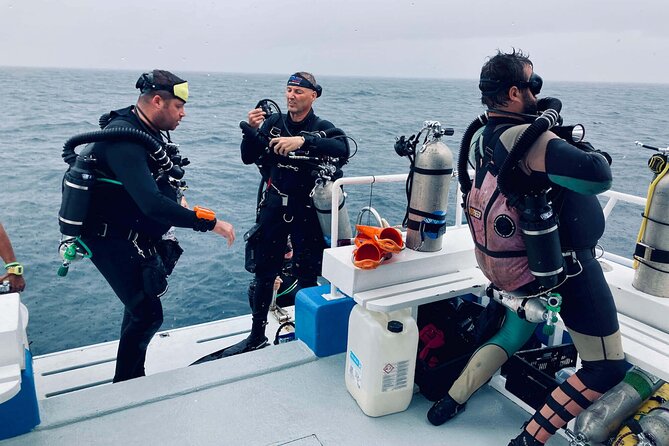 乘坐贵宾船浮潜和潜水到穆罕默德角和怀特岛