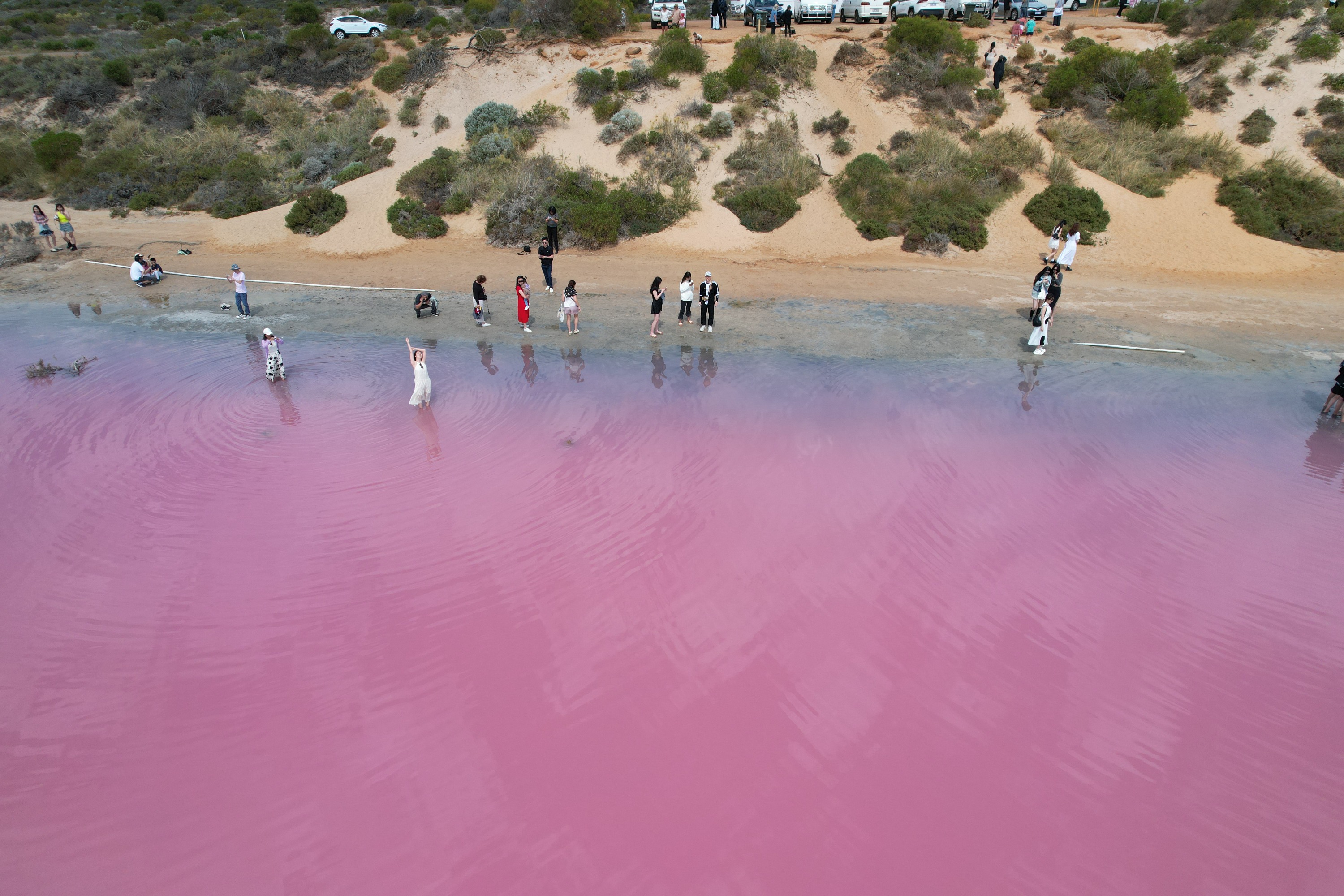 2天粉红湖和卡尔巴里之旅（含可选活动）