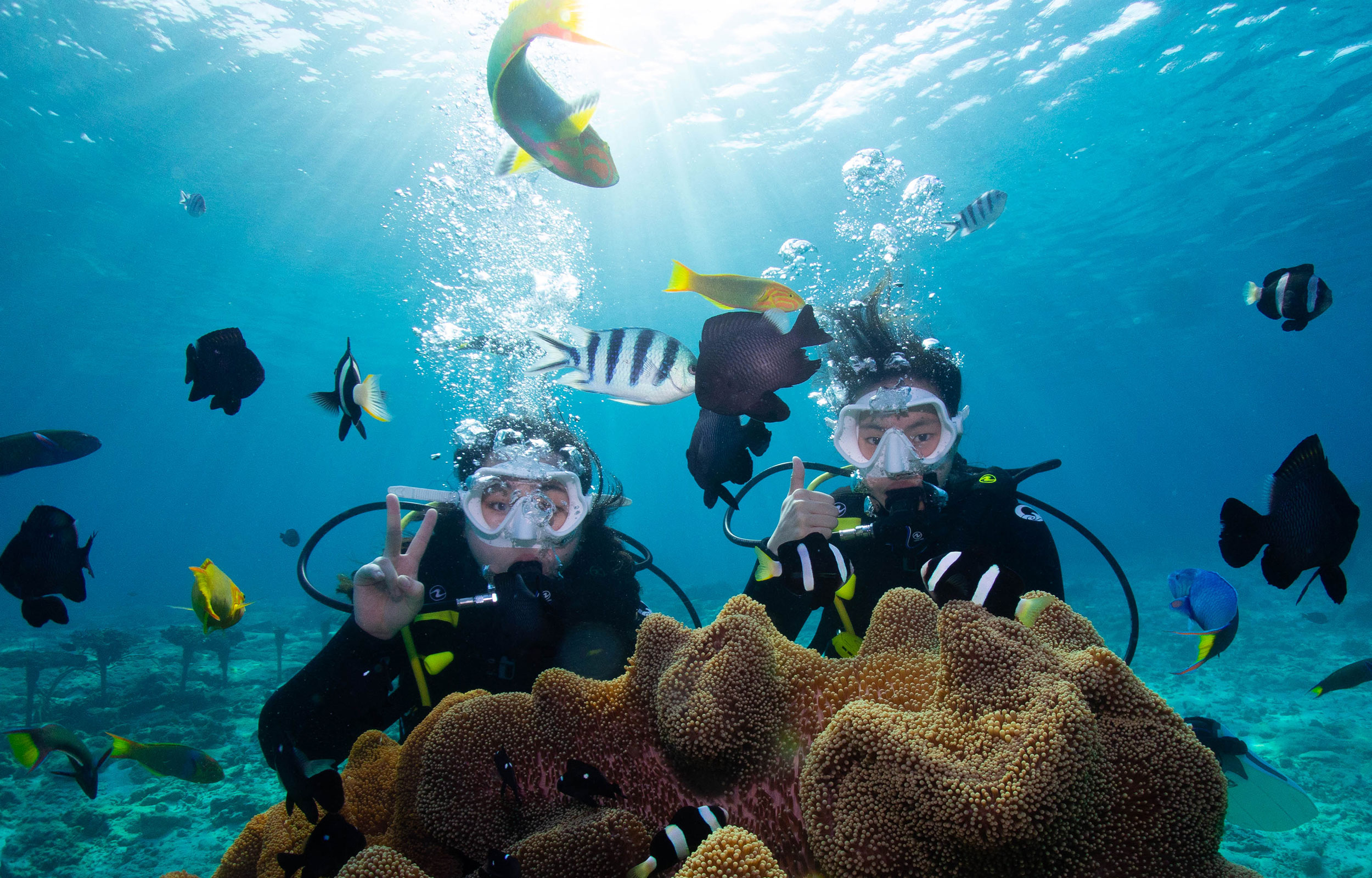 冲绳｜恩纳蓝洞浮潜＆潜水体验｜广东话教练