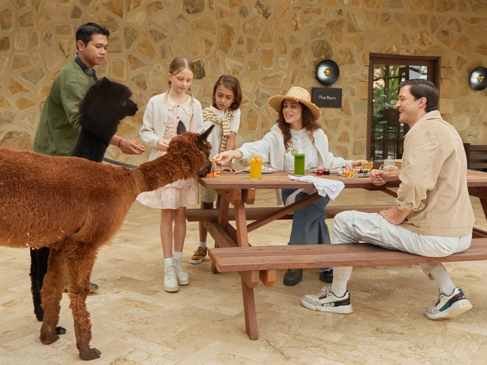 巴厘岛农家乐门票