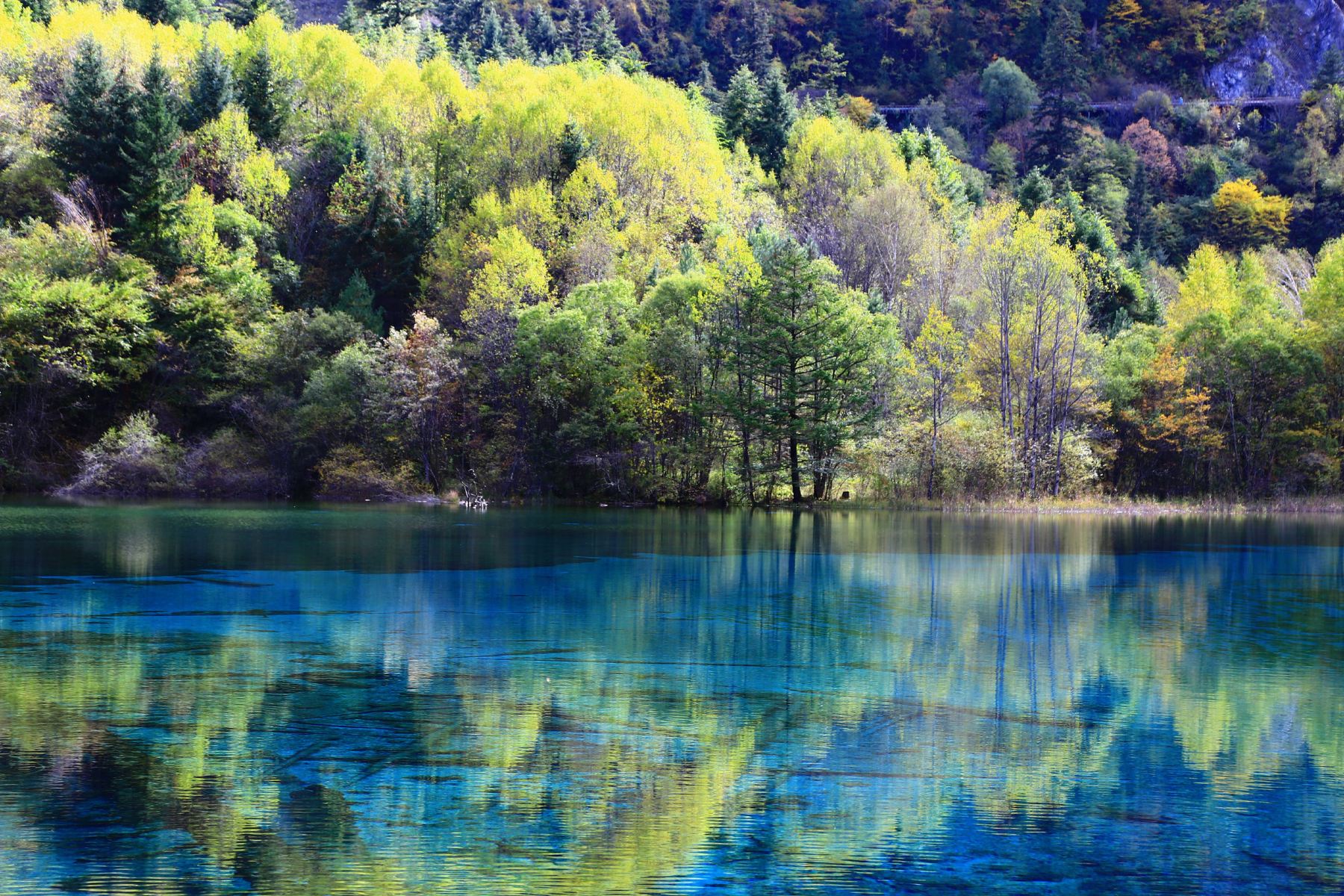 【Klook独家】四川九寨沟峨眉全景6天5晚私家团（不朽岷江+一次玩遍四川精华九寨沟+峨眉山+乐山大佛+萌宠熊猫+地道美食一网打尽）