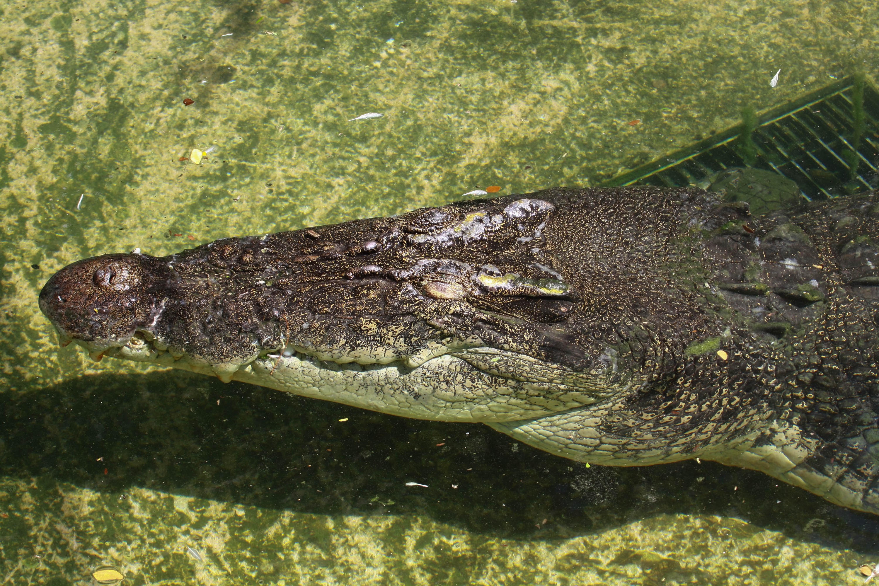 公主港全日城市之旅