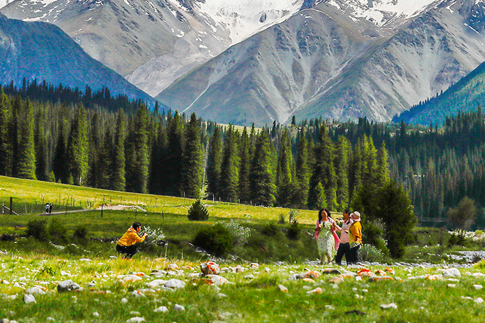 新疆伊犁河谷8天（赠航拍+安集海大峡谷+赛里木湖自驾+果子沟+天马浴河+伊昭公路+夏塔草原+喀拉峻自驾+恰西画卷轻旅拍+唐布拉+独库）