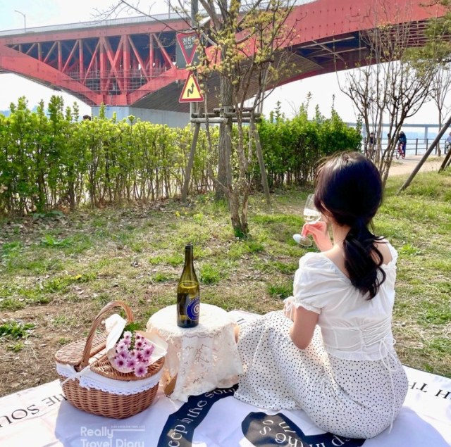 首尔汉江野餐装备租赁服务（望远）