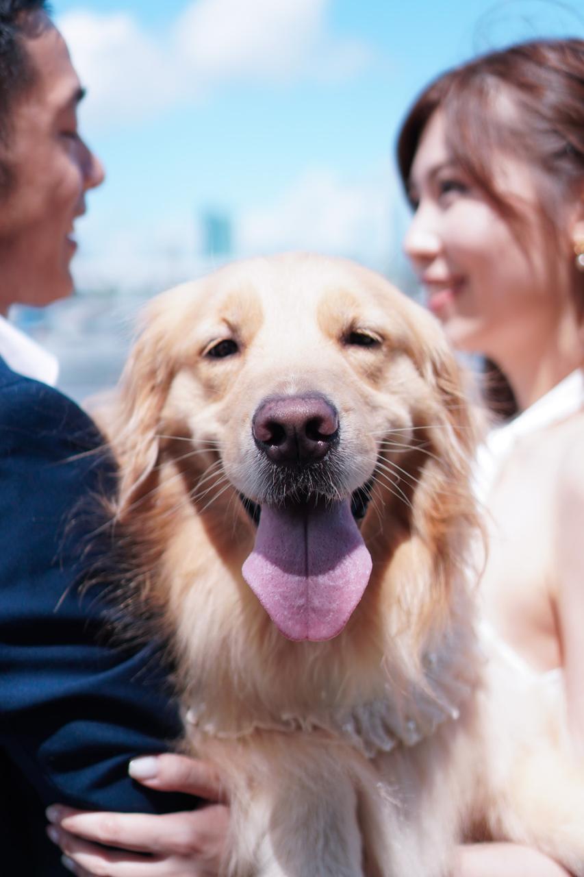 香港观塘 ​宠物拍摄(STUDIO) | 观塘工作室＋观塘海滨