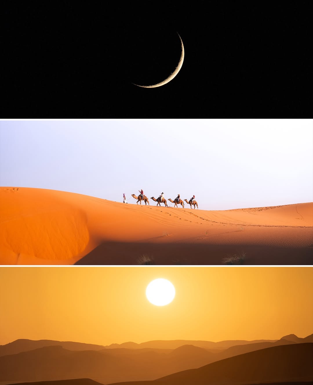 马拉喀什索维拉莫加多尔一日游