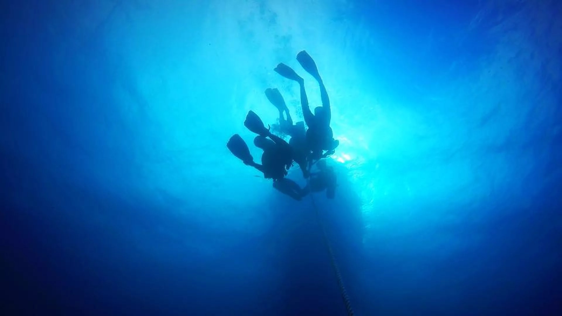 迈阿密海滩等着您：与 PADI 一起探索水肺潜水 5* 潜水中心