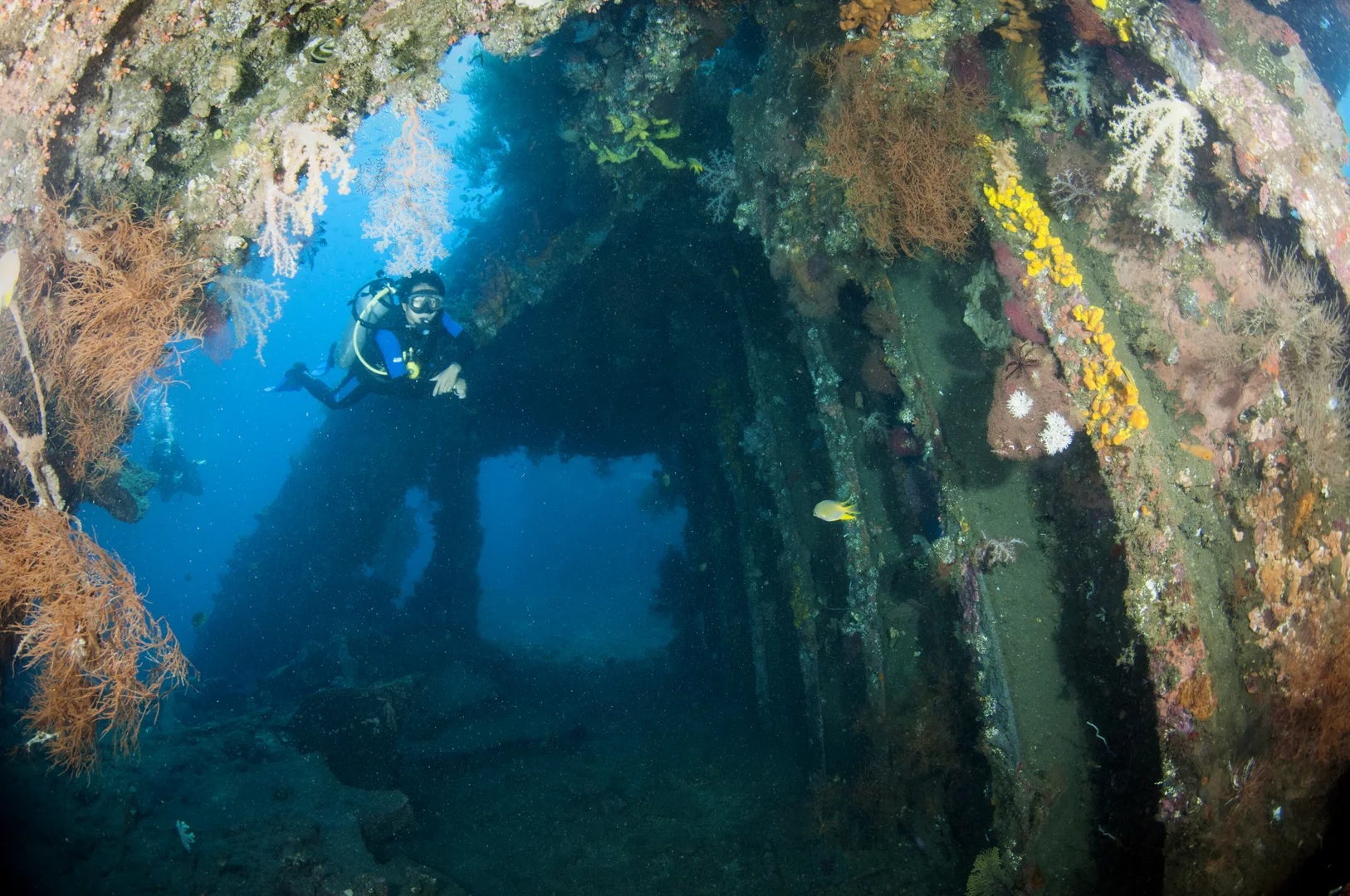 巴厘岛潜水游览：从沙努尔出发的图兰奔探险与PADI中心