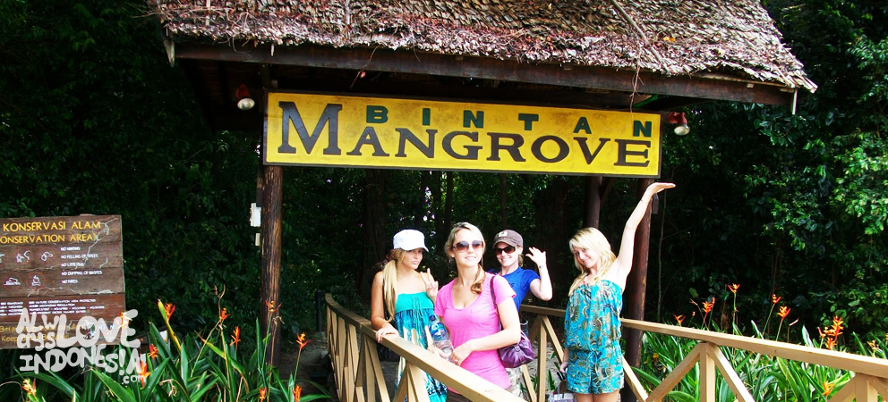 从民丹岛出发的森林之旅