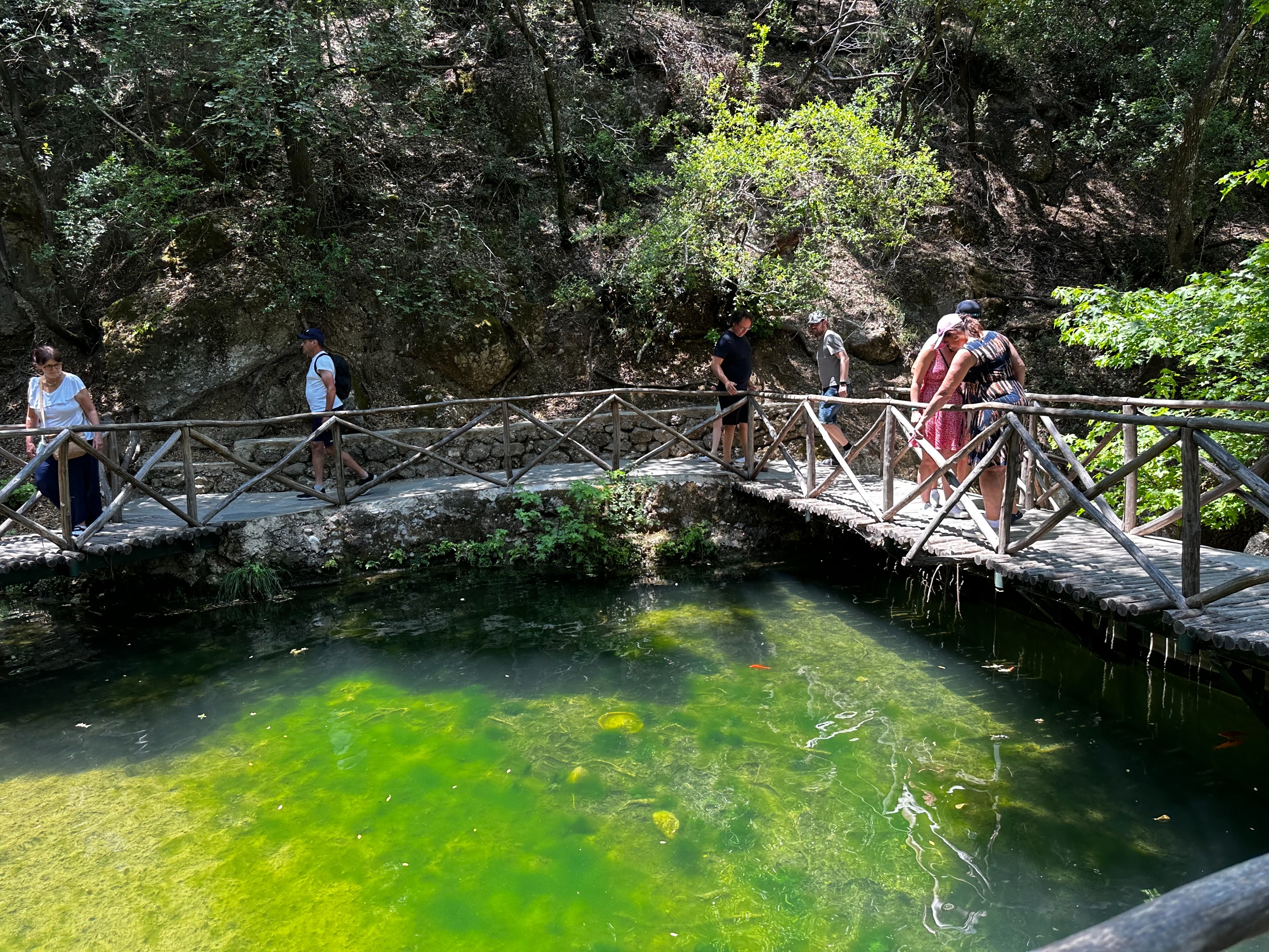 费乐利摩斯 & 蝴蝶谷自助导览半日游