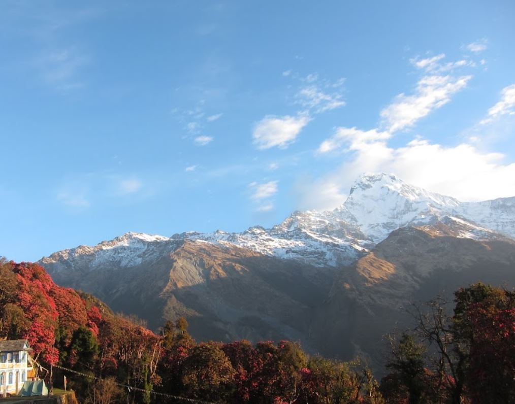 波卡拉：戈雷帕尼、普恩山 & 甘德鲁克村徒步之旅