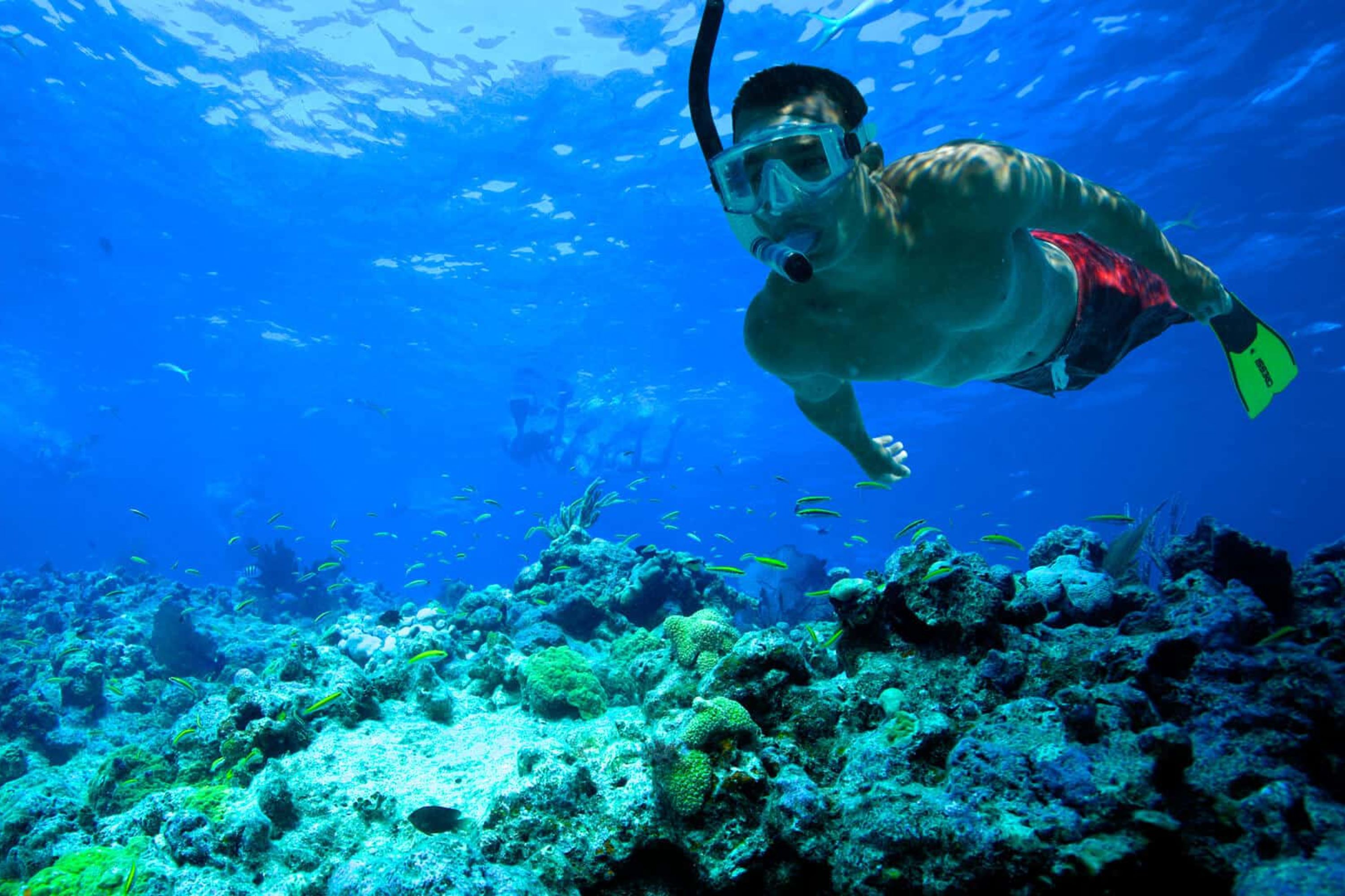 基韦斯特浮潜冒险