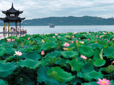 杭州一日游【上海高铁往返+西湖游船+六和塔+杭州龙井茶园+仿古商业街河坊街】