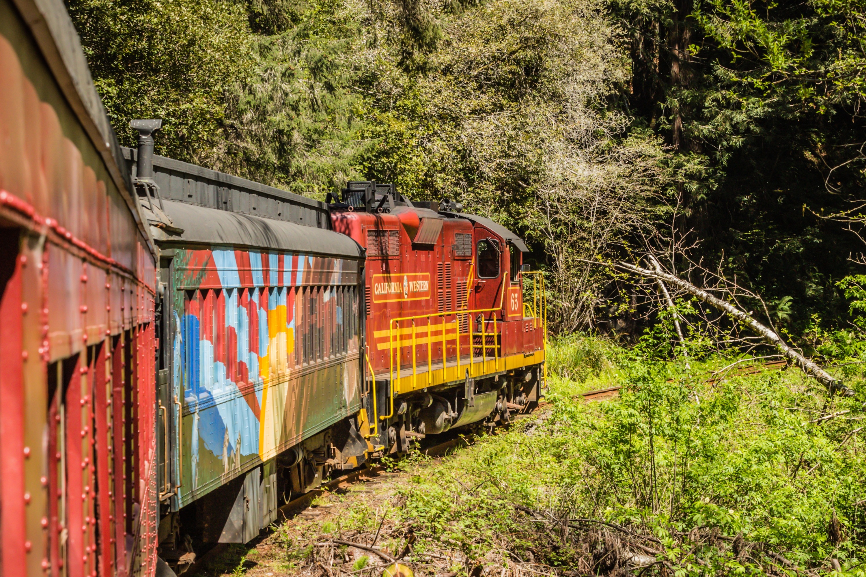 门多西诺布丁溪快车观光火车之旅