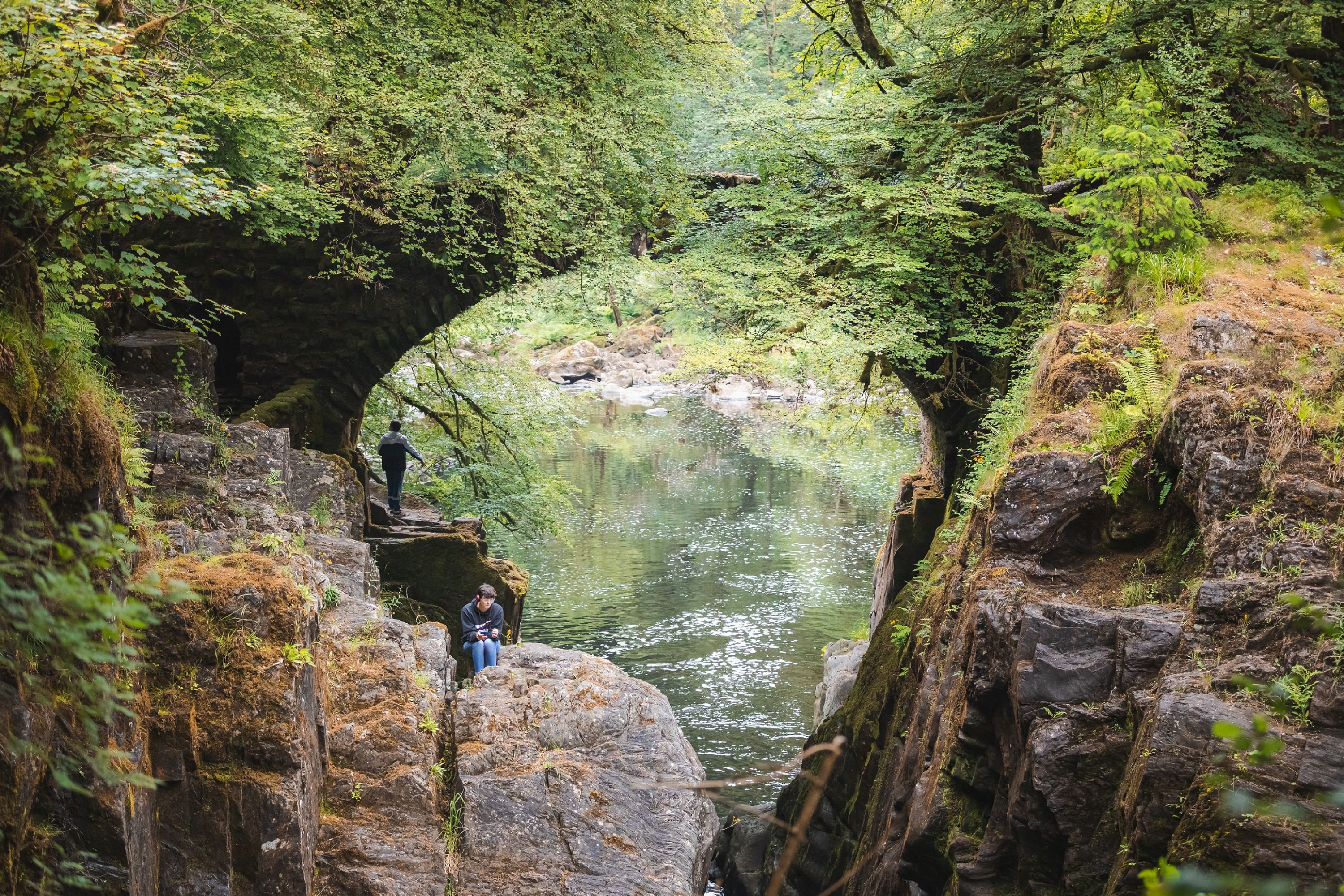 从爱丁堡出发的苏格兰高地、威士忌和瀑布之旅