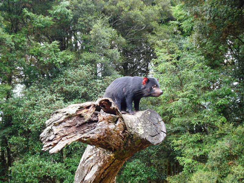 日夜动物喂食之旅