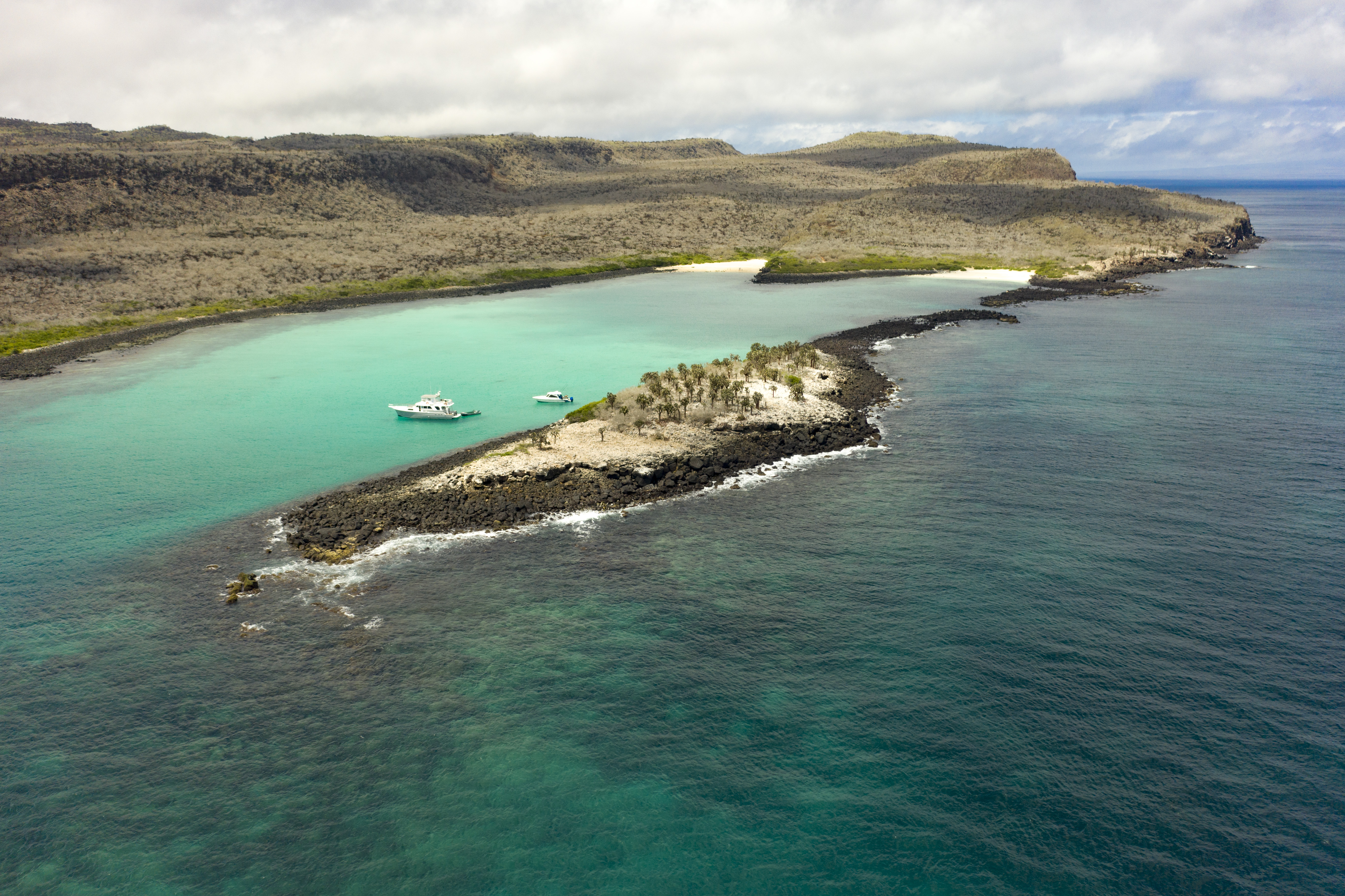 加拉巴哥浮潜盛宴：PADI 5*中心全日游