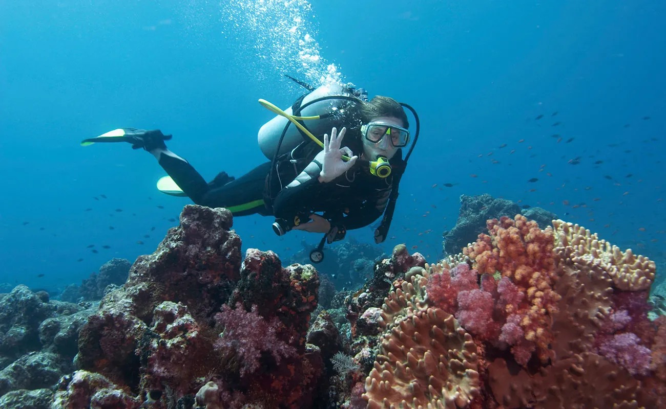 探索拉哥岛的奇观：PADI 潜水中心的高级课程