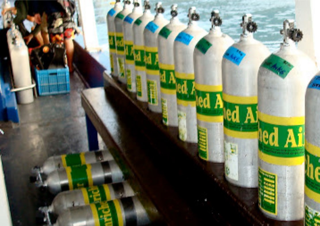 体验更多：莫雷洛斯港 PADI 中心的高氧课程