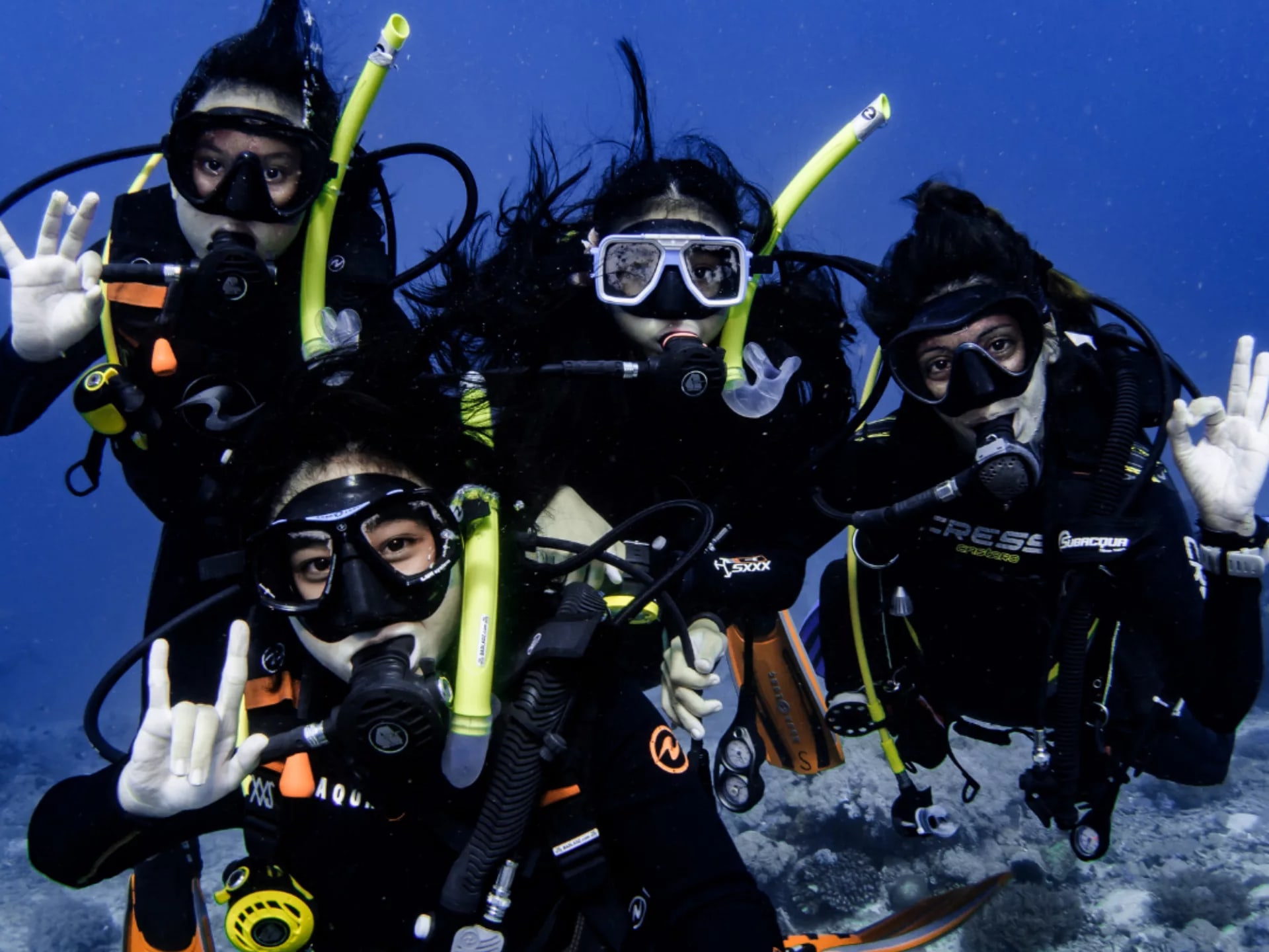 波尔多格尼拉水肺潜水体验（PADI五星级潜水中心）