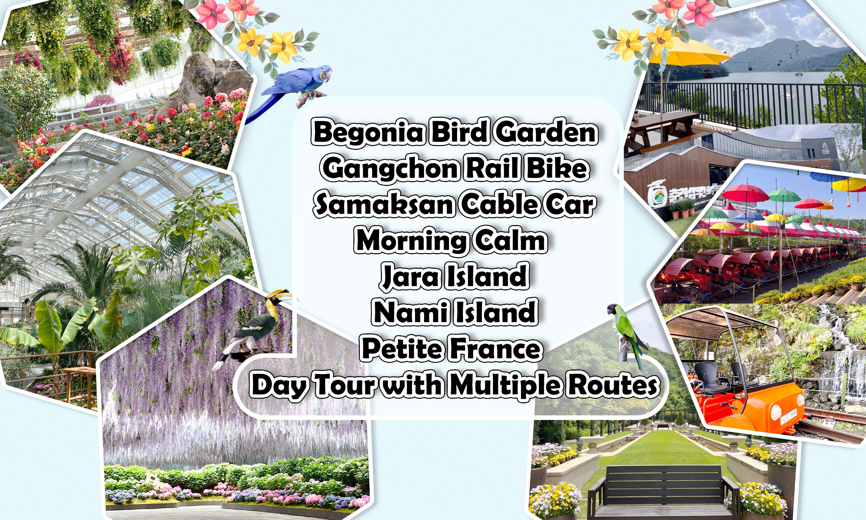 韩国秋海棠园 & 小法国村 & Jara岛樱花之旅