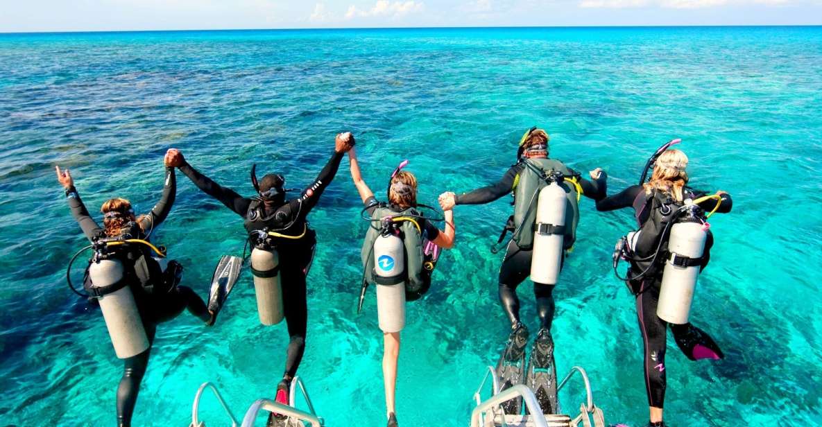 赫尔格达：橘子岛潜水与浮潜之旅（含午餐）