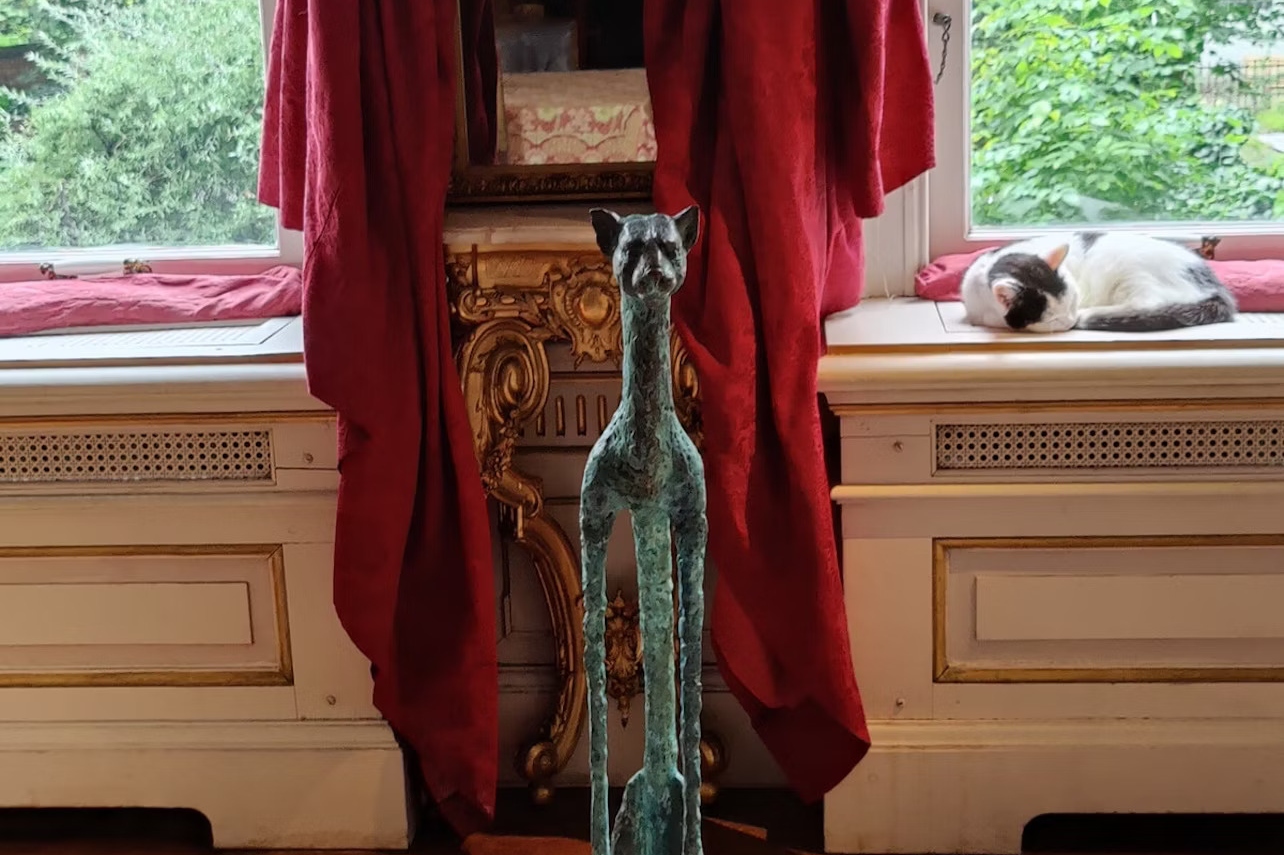 阿姆斯特丹猫艺术品陈列馆门票