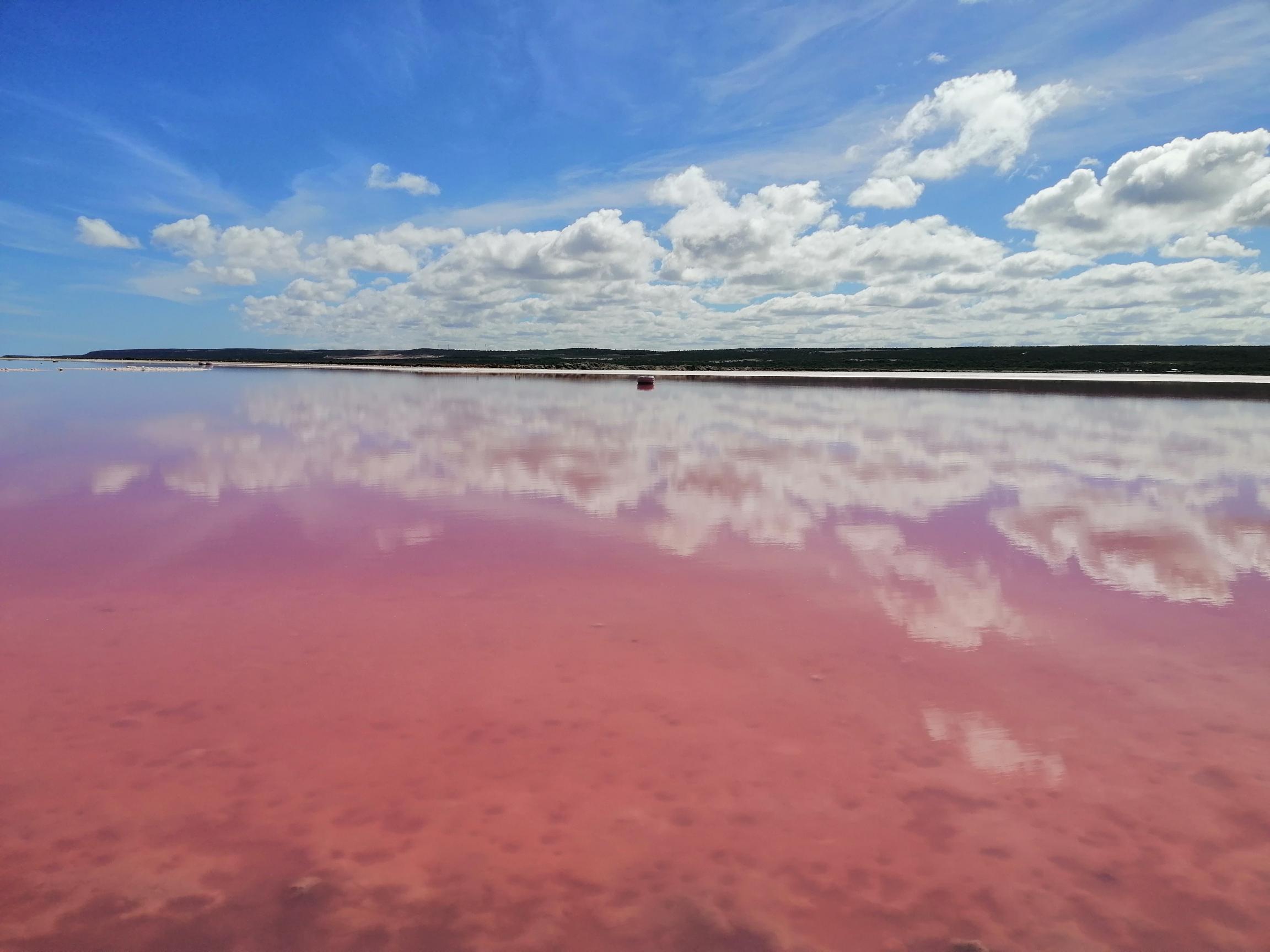 粉红湖 & 卡尔巴里2日游