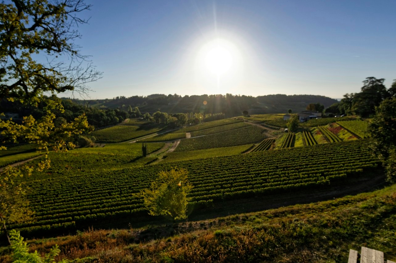 圣洛朗德孔布 Chateau La Croizille 酒庄之旅（含品酒体验）