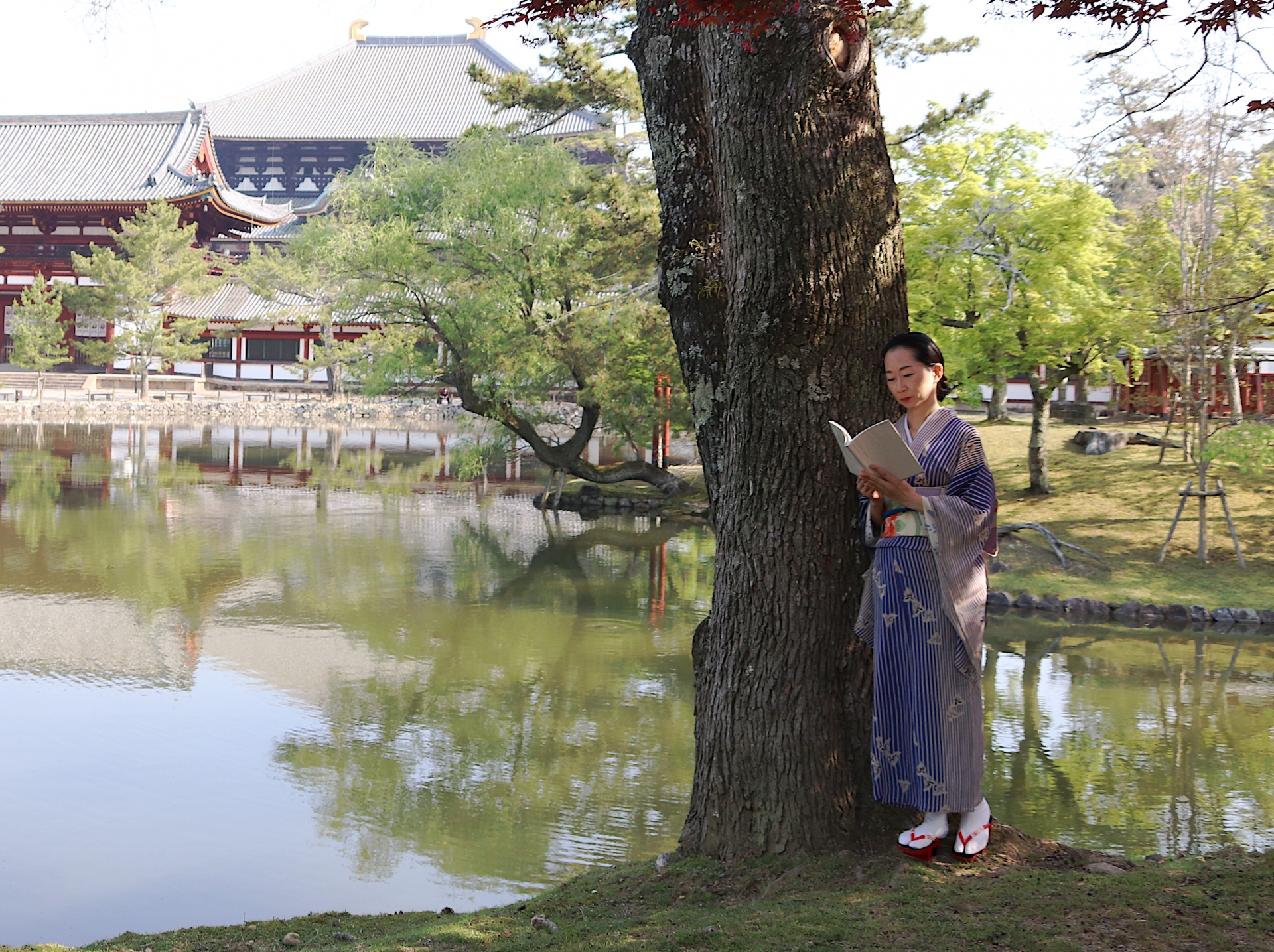 奈良私人拍摄体验