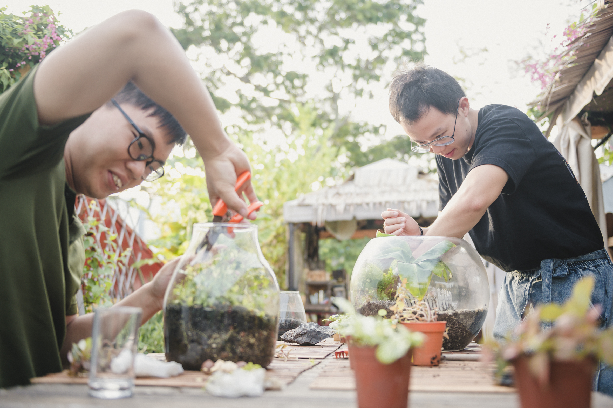 The Sundowner 大型植物缸工作坊