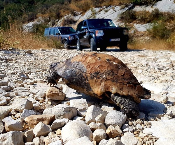 科孚岛北线探索之旅