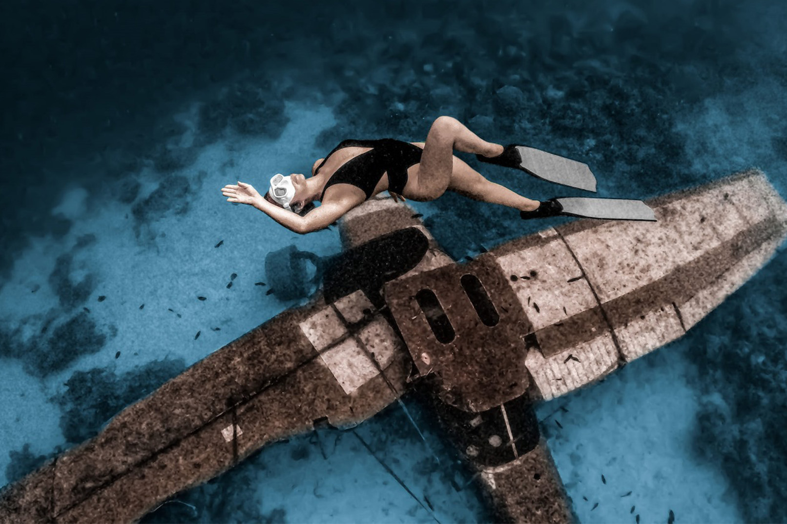 邦劳岛南方棕榈度假村飞机残骸自由潜水体验