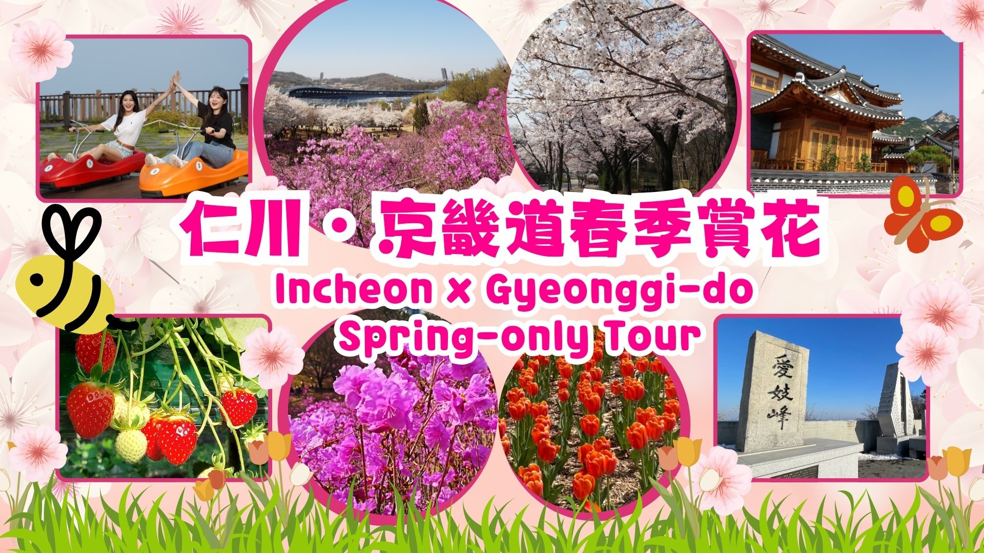 仁川春季限定之旅（首尔出发）