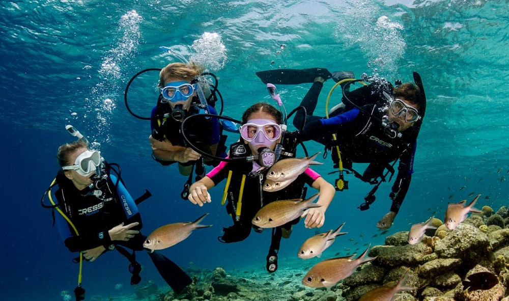 费特希耶水肺潜水之旅（包烧烤午餐 & 来回接送）
