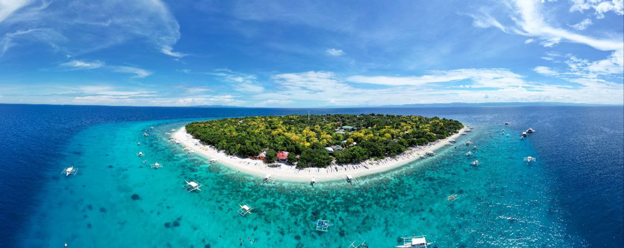 薄荷岛游船（午餐，海豚，海龟，珊瑚礁，沙洲）