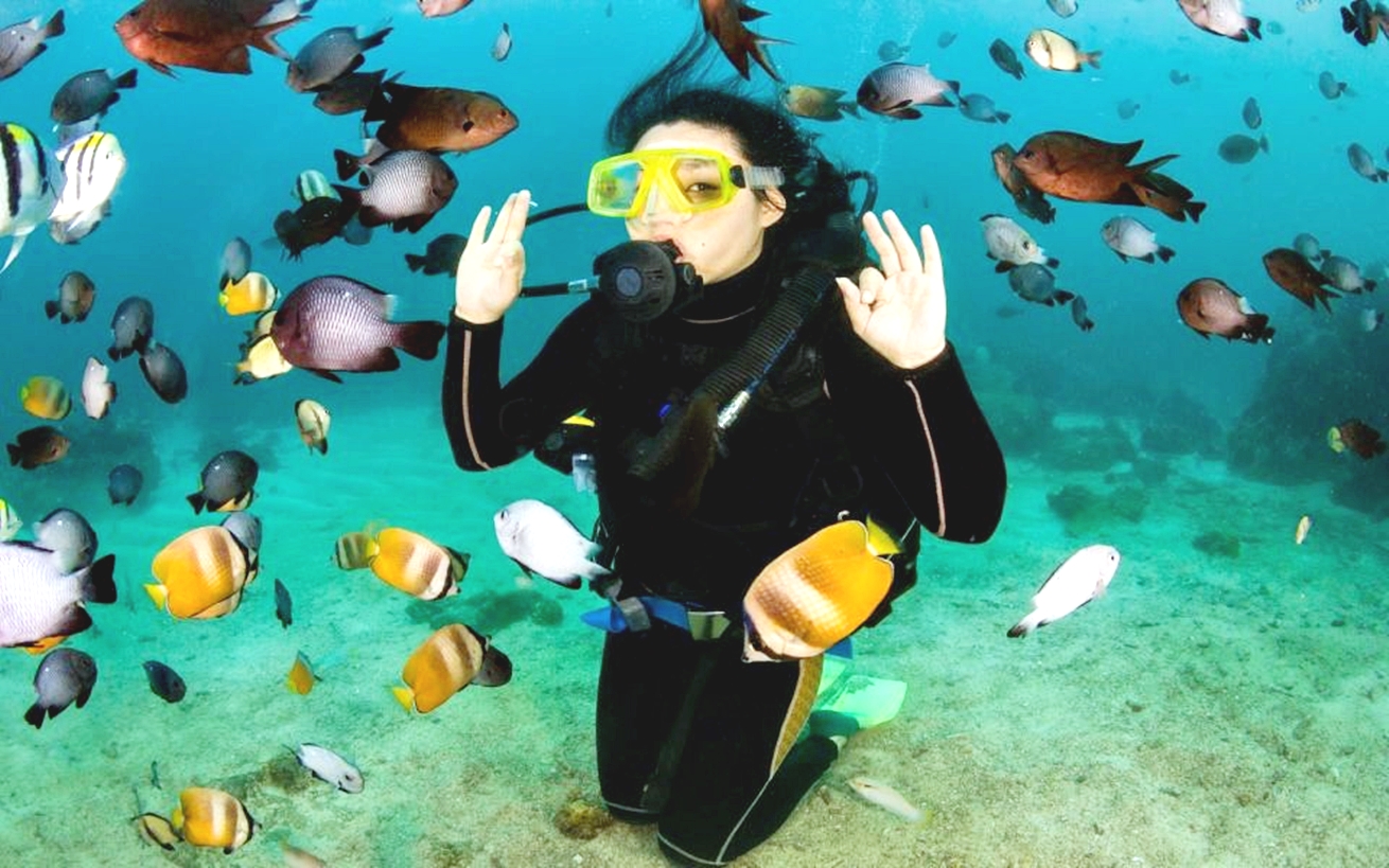 从马卡迪湾出发：潜水 & 浮潜游船之旅（含午餐）