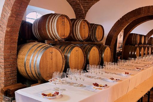 基安蒂 & 城堡之旅（锡耶纳出发）